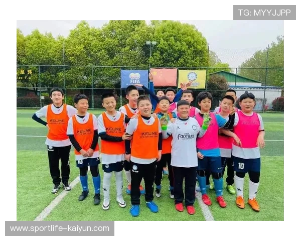 南阳省十大足球球星俱乐部实力对比与发展前景分析
